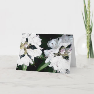 Cartão All Occasion Greeting Card (Blank Inside)