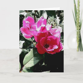Cartão All Occasion Greeting Card (Blank Inside)