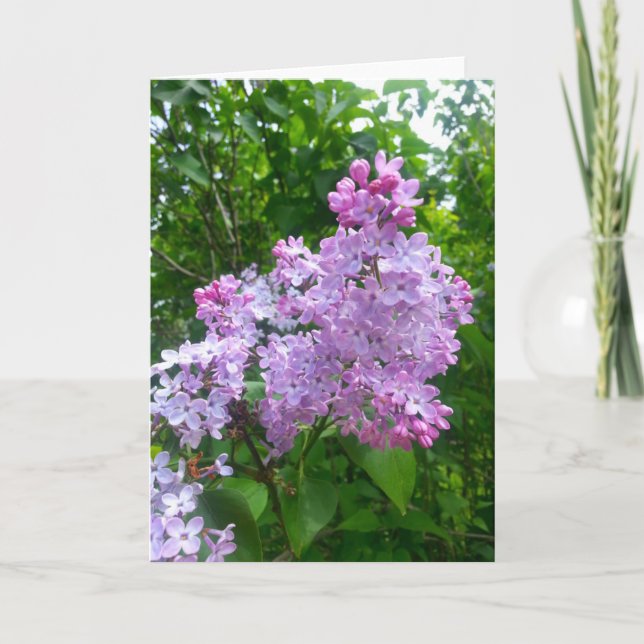 Cartão All Occasion Greeting Card (Blank Inside) (Frente)