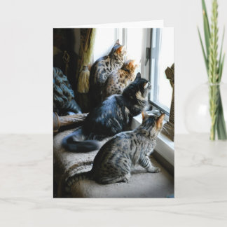 Cartão All Occasion Greeting Card - Cats at Window