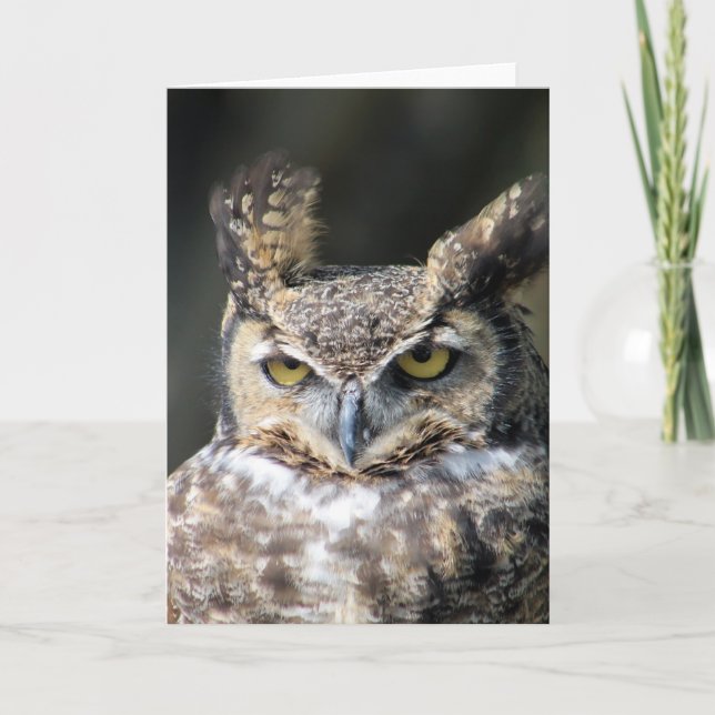 Cartão All occasion note cards featuring Great-Horned Owl (Frente)