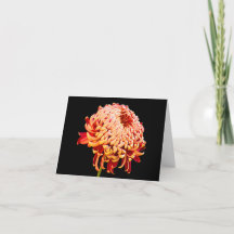 All Occasion Red Chysanthemum Note Greeting Card