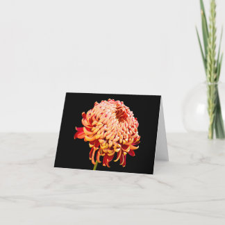 Cartão All Occasion Red Chysanthemum  Note Greeting Card