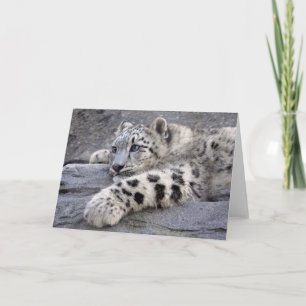 Cartão All Played Out Card