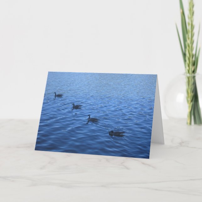 Cartão All your ducks in a row (Frente)