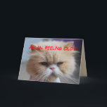 Cartão Allan Brother Birthday Persian Cat Humor<br><div class="desc">Allan Brother Birthday Persian Cat Humor Card.

You can personalize this card to any name or text. This Persian cat is very empathetic. 
"Forget it!
You look Meow-velous!
(All all,  you are related to me!)
Happy Birthday to a Great Brother!</div>
