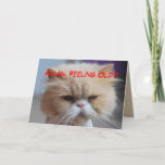 Cartão Allan Brother Birthday Persian Cat Humor<br><div class="desc">Allan Brother Birthday Persian Cat Humor Card.

You can personalize this card to any name or text. This Persian cat is very empathetic. 
"Forget it!
You look Meow-velous!
(All all,  you are related to me!)
Happy Birthday to a Great Brother!</div>