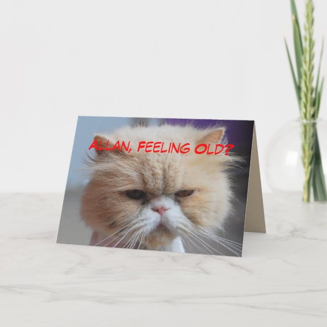 Cartão Allan Brother Birthday Persian Cat Humor (Frente)