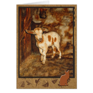 Cartão Allan o segundo