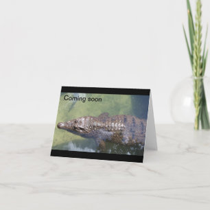 Cartão Alligador Breve