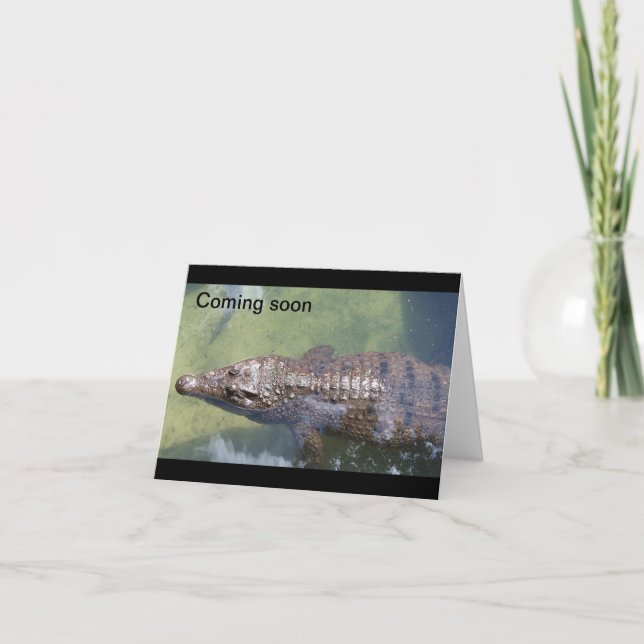 Cartão Alligador Breve (Frente)