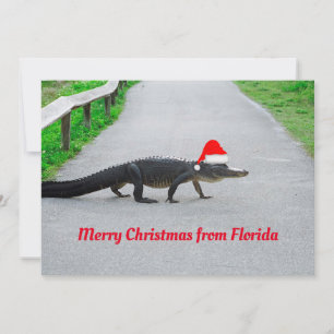 Cartão Alligator Feliz Natal da Flórida