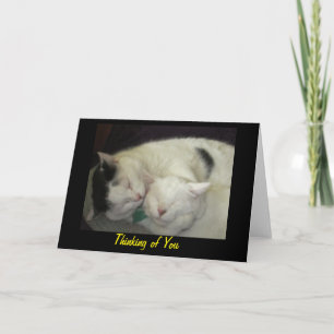 Cartão Allis & Abbie Thinking of You Greeting Card