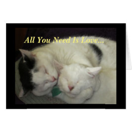 Cartão Allis & Abbie todos que os gatos você precisa são