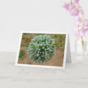 Cartão Allium, Blossom de Cebola Selvagem