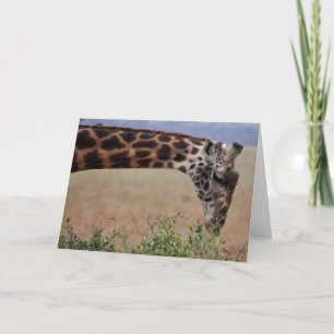 Cartão Almoço para um