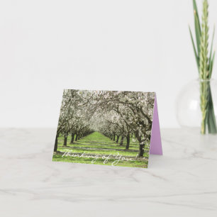Cartão Almond Blossoms Notecard