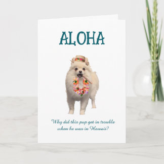 Cartão Aloha Joke Card with Pup