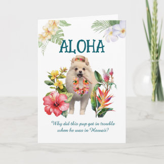 Cartão Aloha Joke Card with Pup
