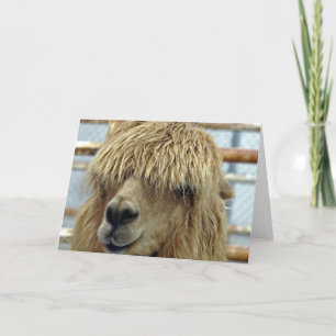 Cartão Alpaca