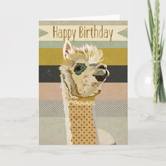 Cartão Alpaca Birthday Card (Frente)
