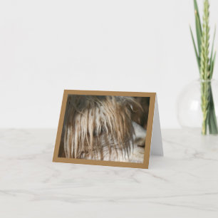 Cartão Alpaca Close-Up - Card