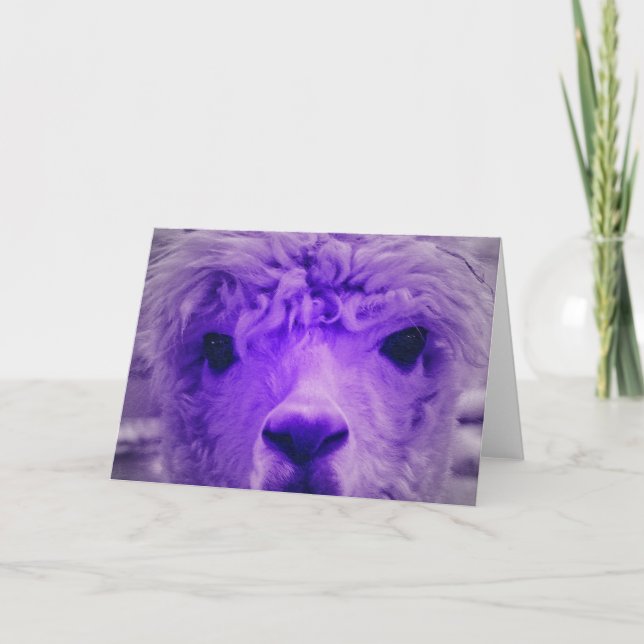 Cartão Alpaca de outra cor (Frente)