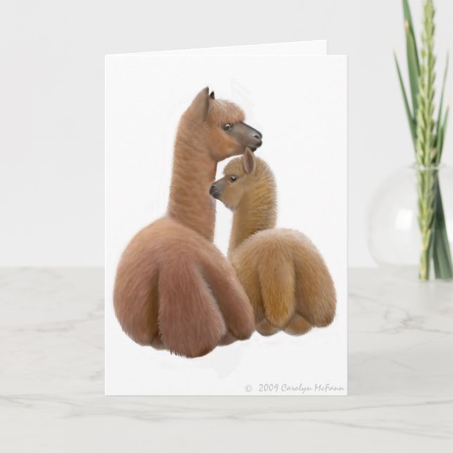 Cartão Alpaca Love Greeting Card (Frente)