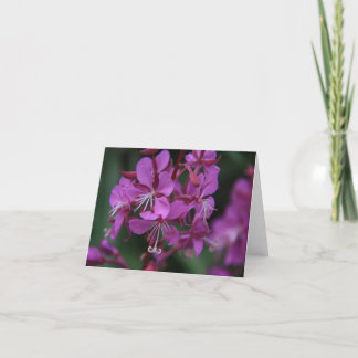 Cartão Alpine Fireweed notecard