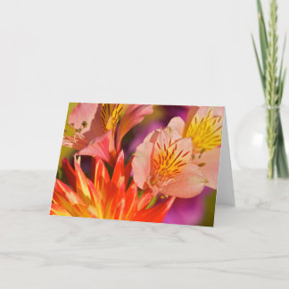 Cartão Alstroemeria Greeting Card