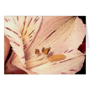 Cartão Alstroemeria na floração