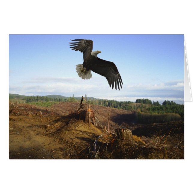 Cartão Altura Alta (Frente Horizontal)