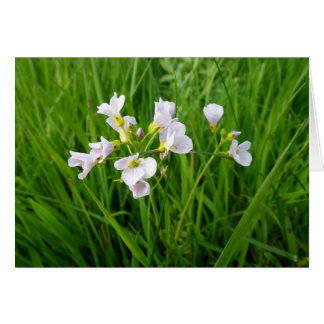 Cartão Aluguel de flor selvagem