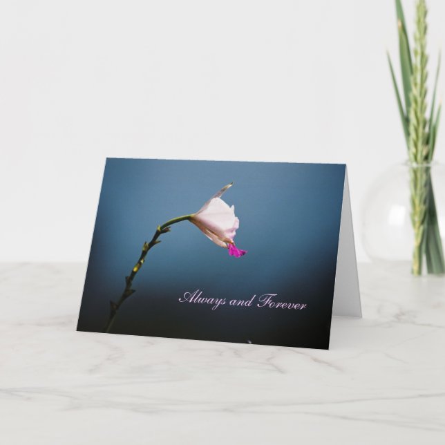 Cartão Always and Forever (Frente)