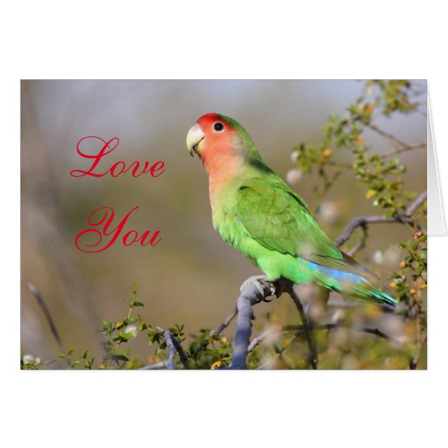 Cartão Ama de amor Rosy-Face Amo-te (Frente Horizontal)