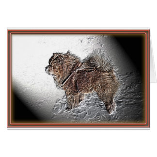 Cartão Amadeus, das Alivios