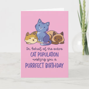 Cartão Amante de Gato Fofo Aniversário Divertido