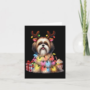 Cartão Amantes de os animais De Pet Shih Tzu Dogs Reindee