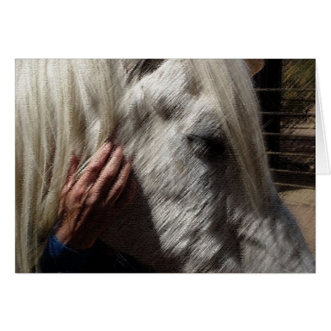 Cartão Amar um Cavalo (Frente Horizontal)