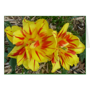 Cartão Amarelo com placa de ventilador com risca vermelha