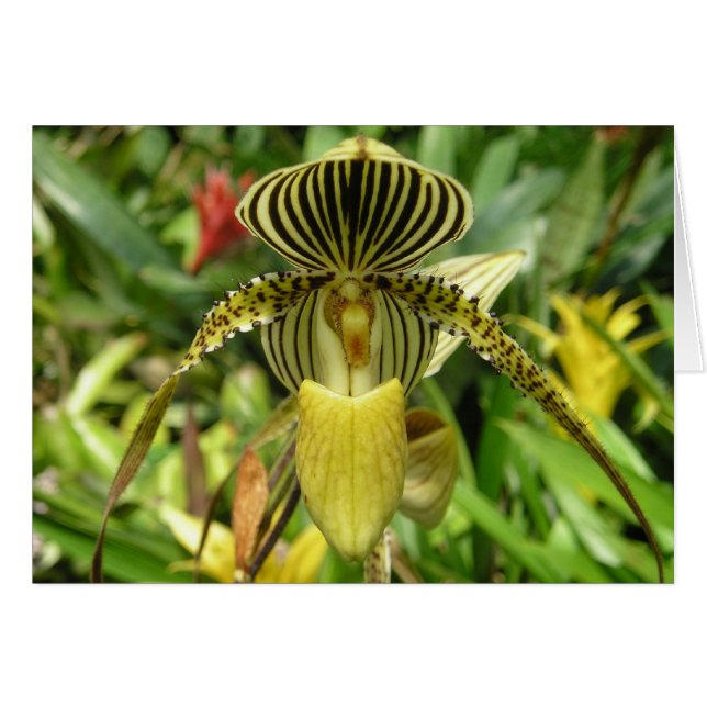 Cartão amarelo da flor da orquídea (Frente horizontal)