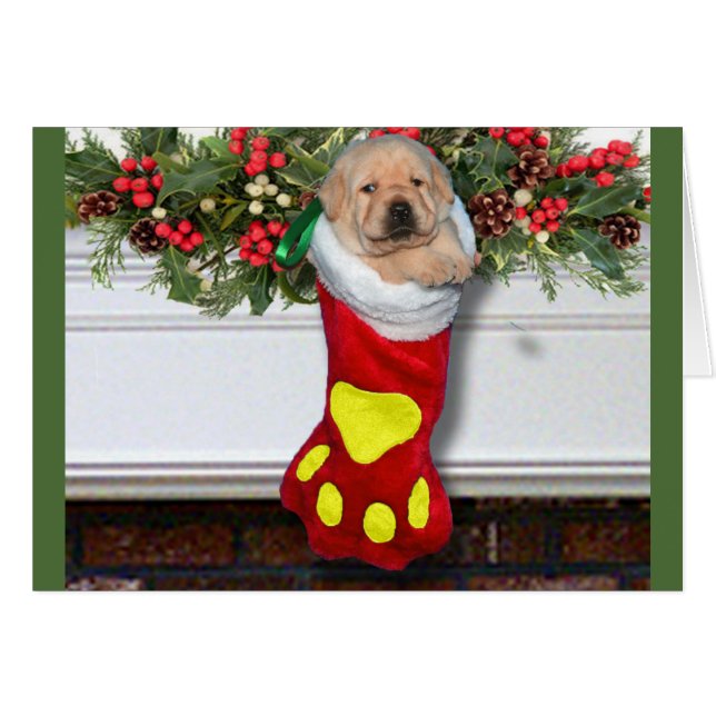 Cartão Amarelo da semana 3 da gratitude (Frente Horizontal)