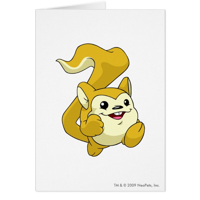 Cartão Amarelo de Meerca (Frente)