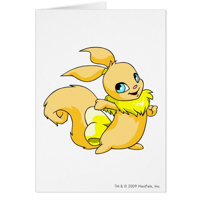 Cartão Amarelo de Usul (Frente)