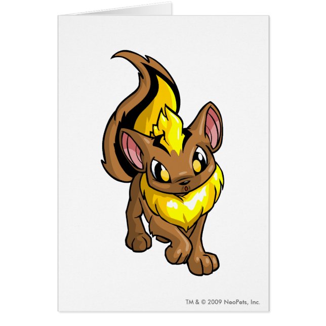 Cartão Amarelo de Xweetok (Frente)