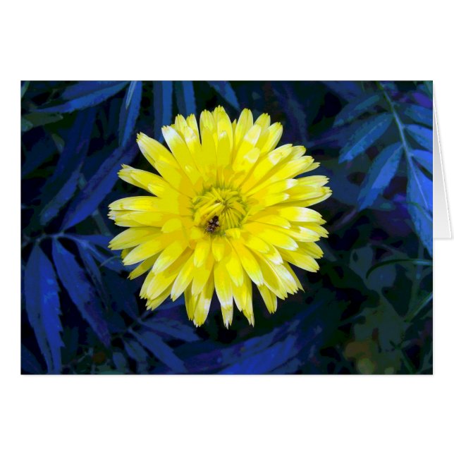 Cartão Amarelo e Azul (Frente Horizontal)