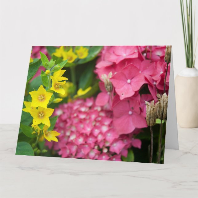 Cartão Amarelo e Rosa (Frente)