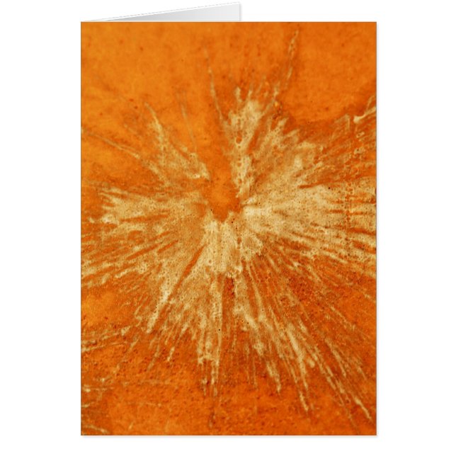 Cartão Amarelo no Laranja Paintball (Frente)