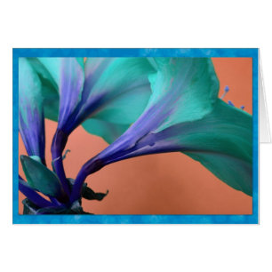 Cartão Amaryllis azul