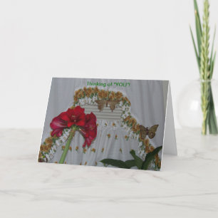 Cartão Amaryllis & Butterflies, Thinking of You